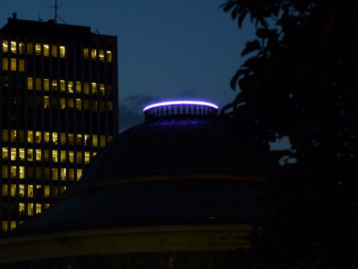 P1020709_1.jpg