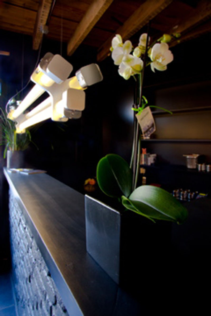 COCHON-03_1.jpg