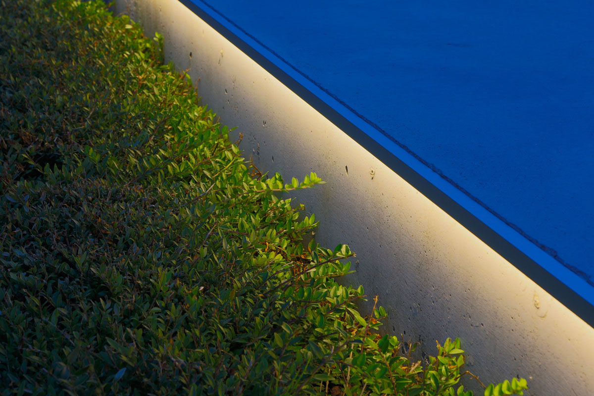 _MG_2662_1.jpg